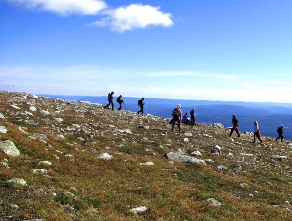 Norefjell & Hotel 4*